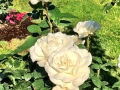rosegarden3