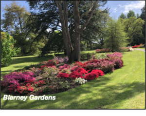 Blarney Gardens